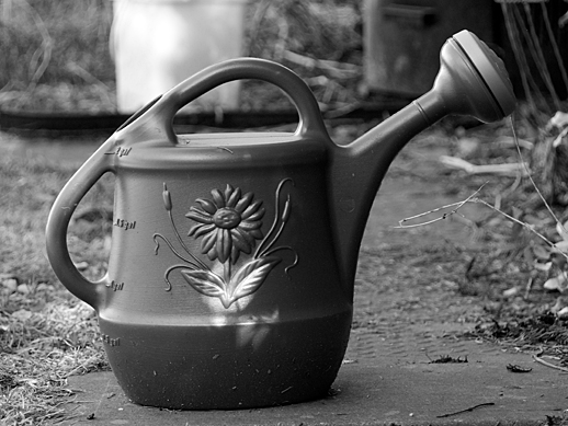 Watering can - Apr 9,2011